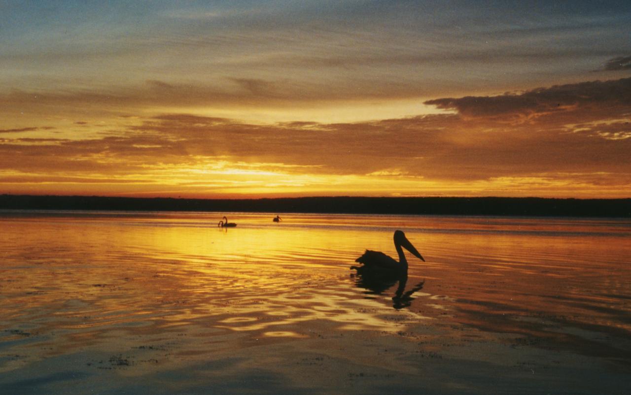 Sussex Shores Sussex Inlet Esterno foto